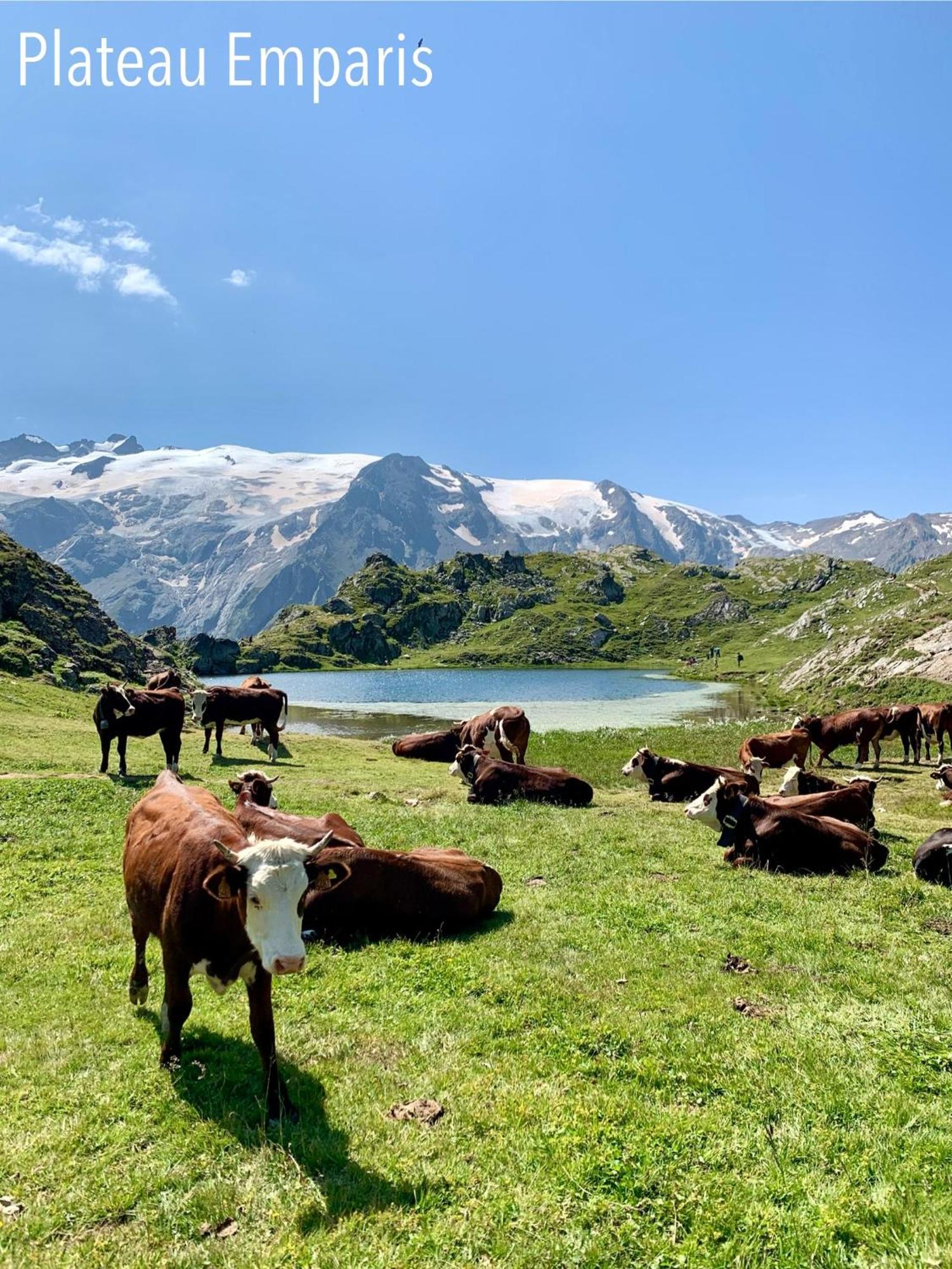 Le Dune Logement Le Bourg-dʼOisans Extérieur photo